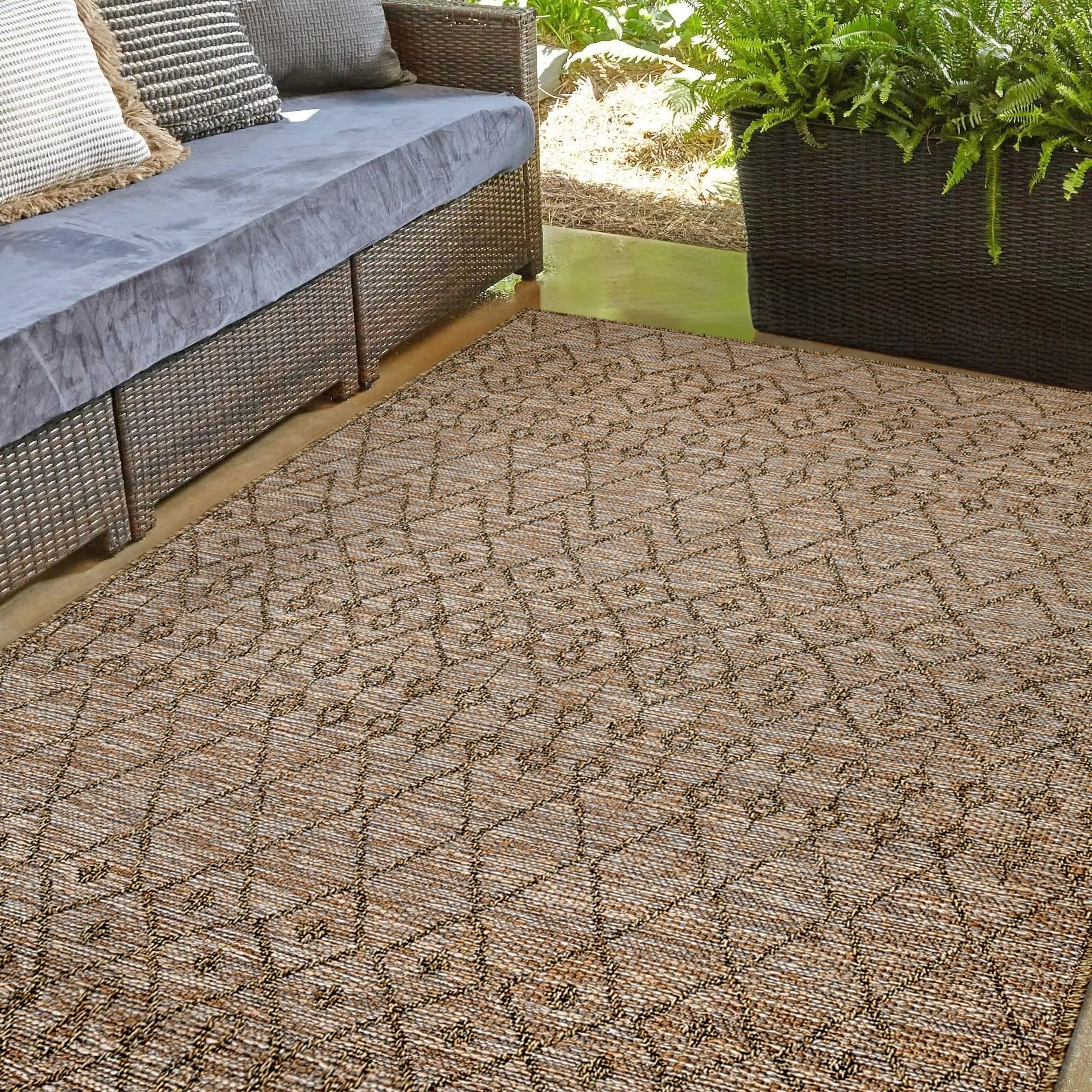 Indoor/Outdoor Rugs